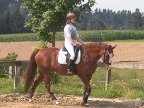 martina-parzer-autorin4
